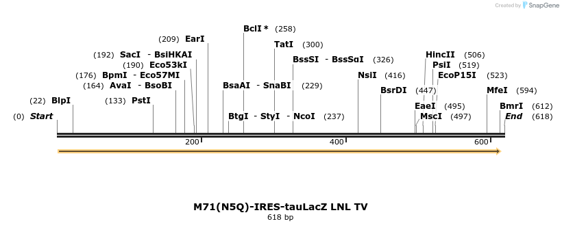 22067_map