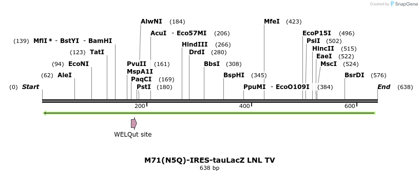 22068_map