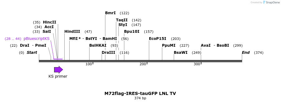 22069_map
