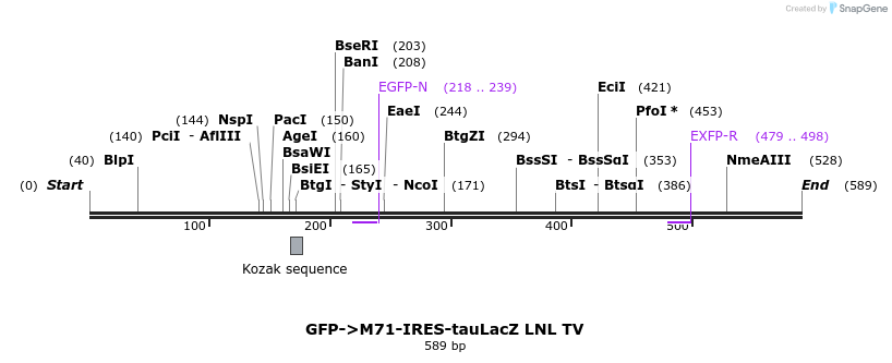 22071_map