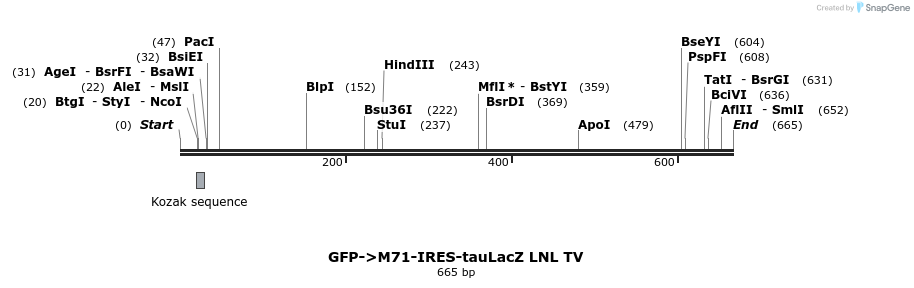 22072_map