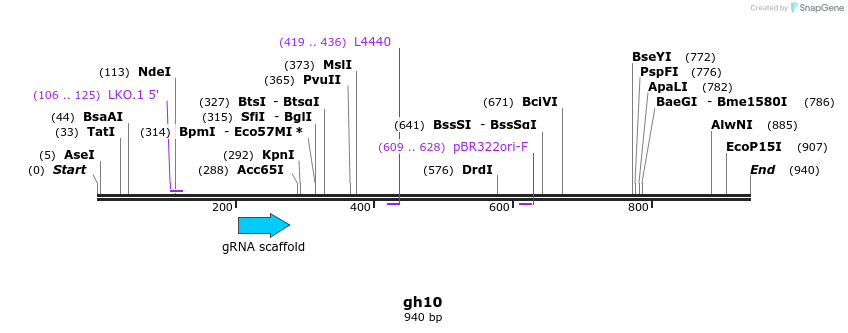220731_map