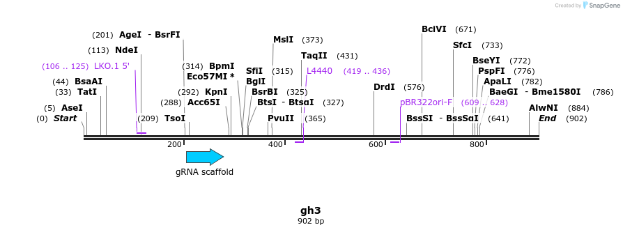 220740_map