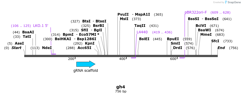 220741_map