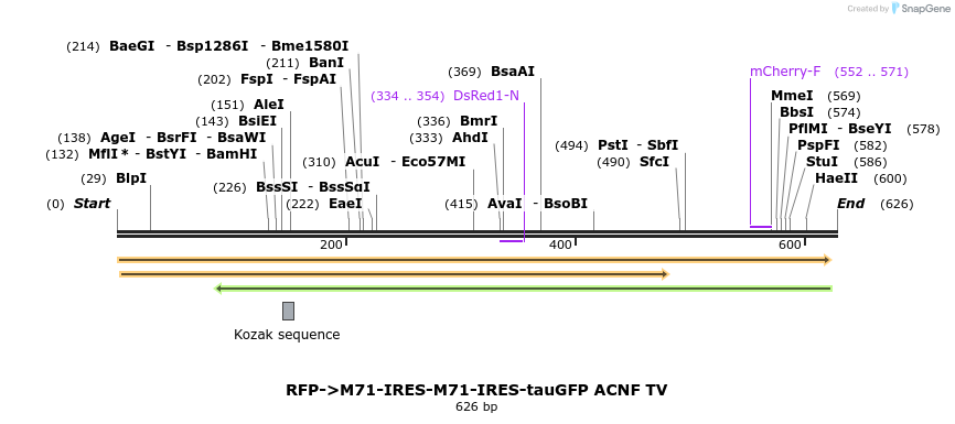 22075_map