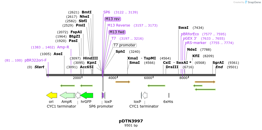 220754_map