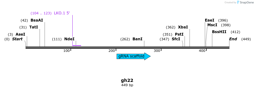 220756_map