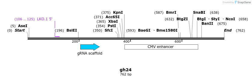 220764_map