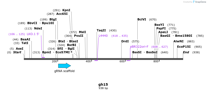 220769_map