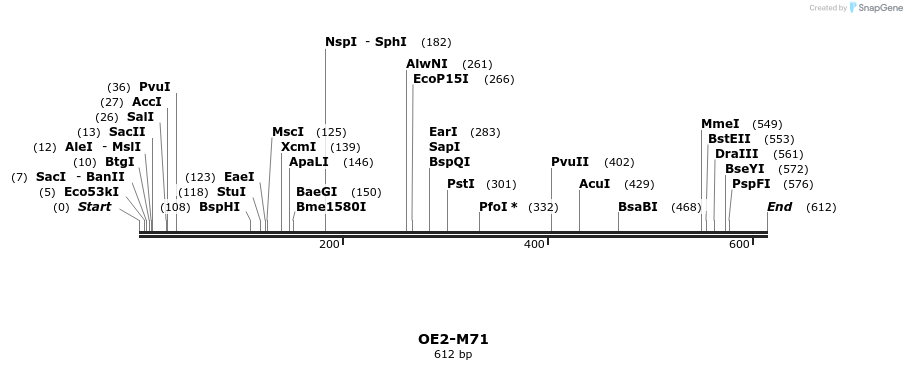 22077_map