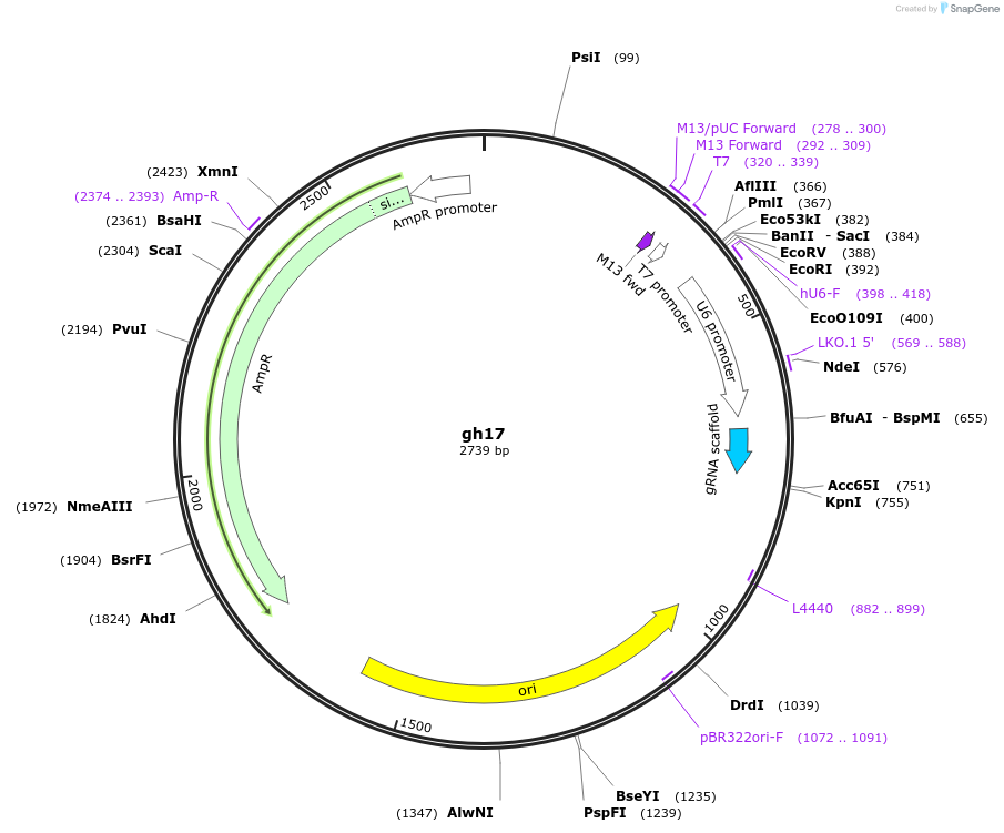 220774_map