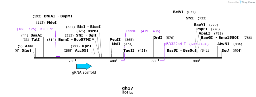 220775_map