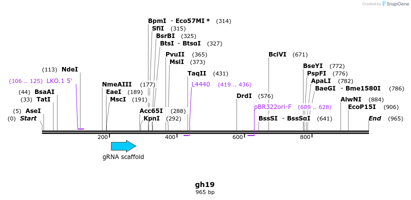 220779_map