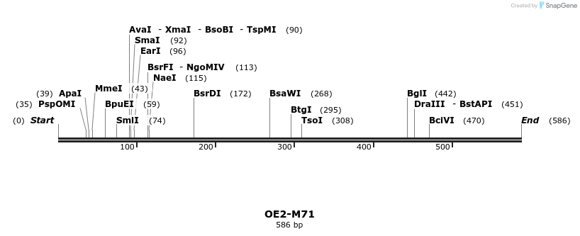 22078_map