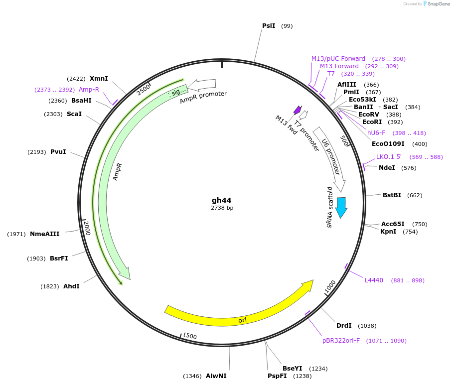 220787_map