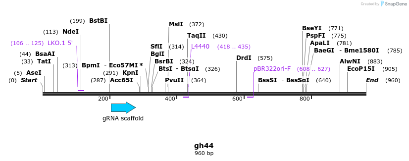 220788_map