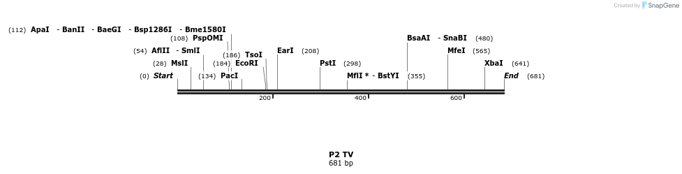 22079_map