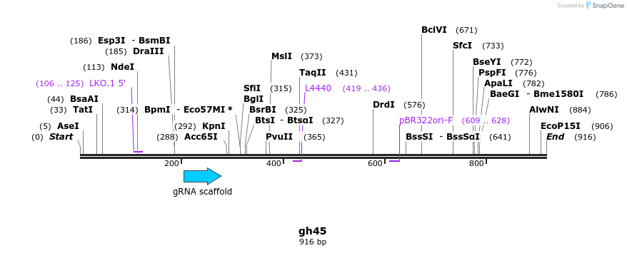 220792_map