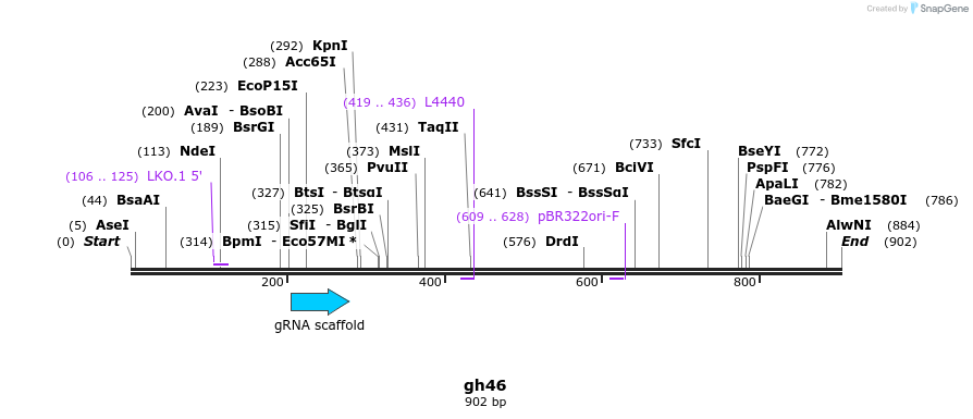220794_map