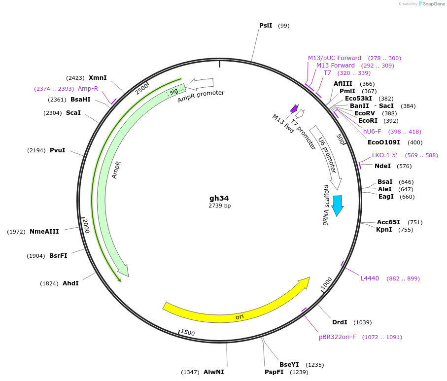 220798_map