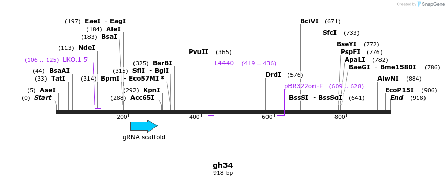 220799_map