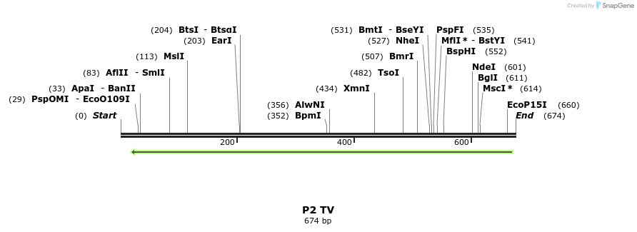 22080_map