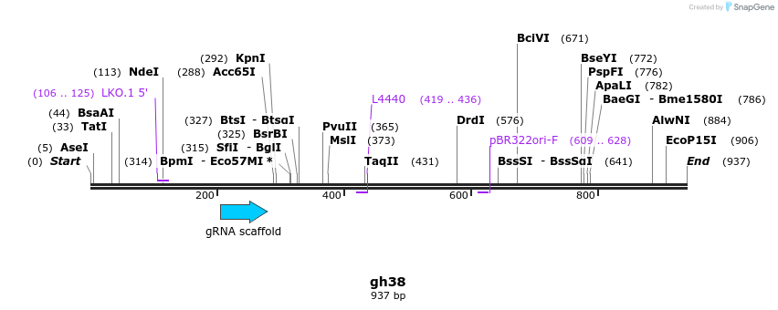 220801_map