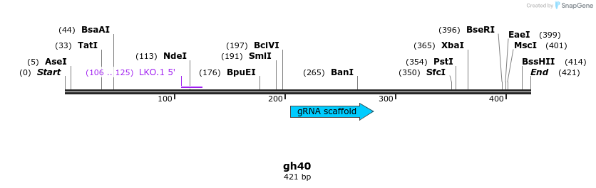 220809_map