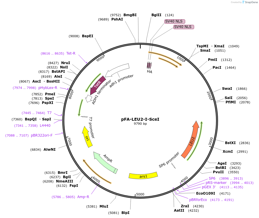 220814_map