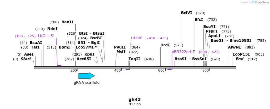 220820_map