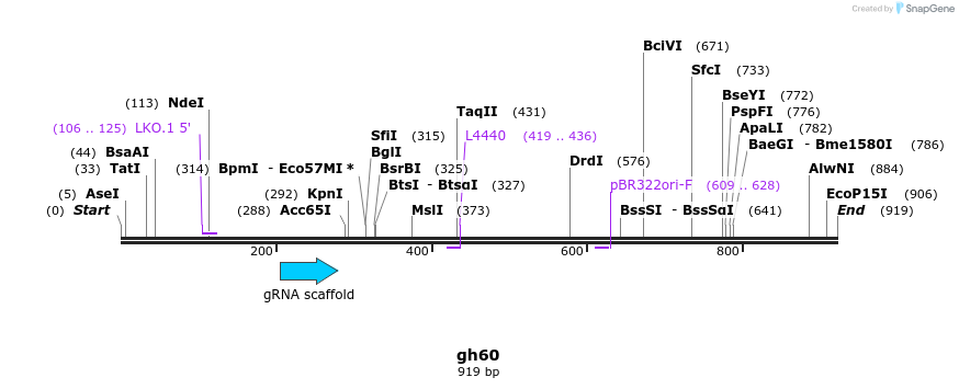 220825_map