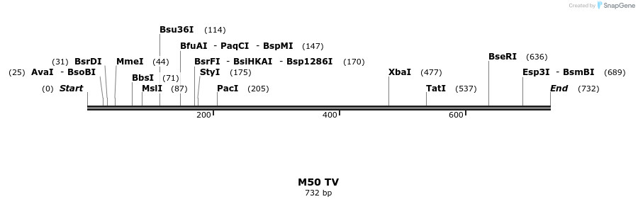 22083_map