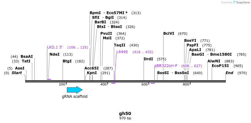 220836_map