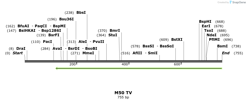 22084_map