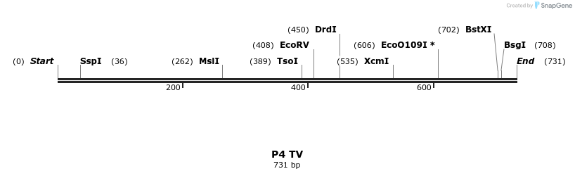 22085_map