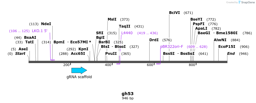 220850_map