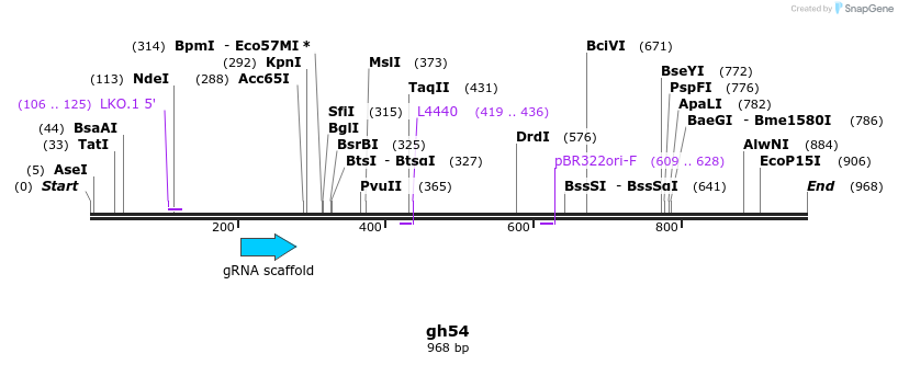 220856_map