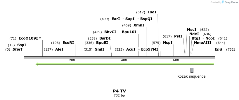 22086_map