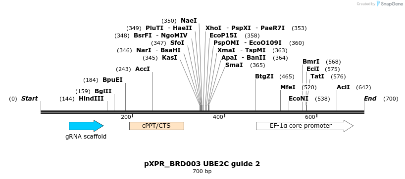 220863_map