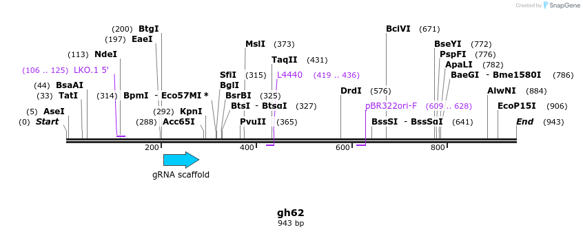 220878_map