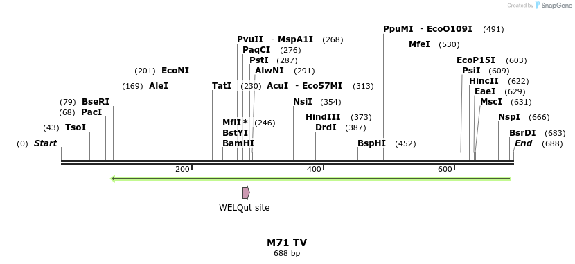 22088_map