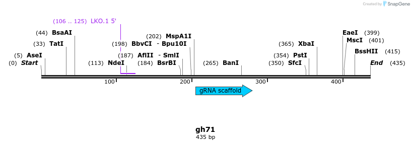 220881_map
