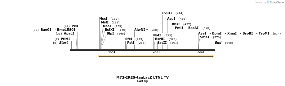 22089_map