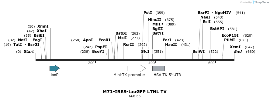 22091_map