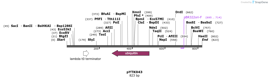 220919_map