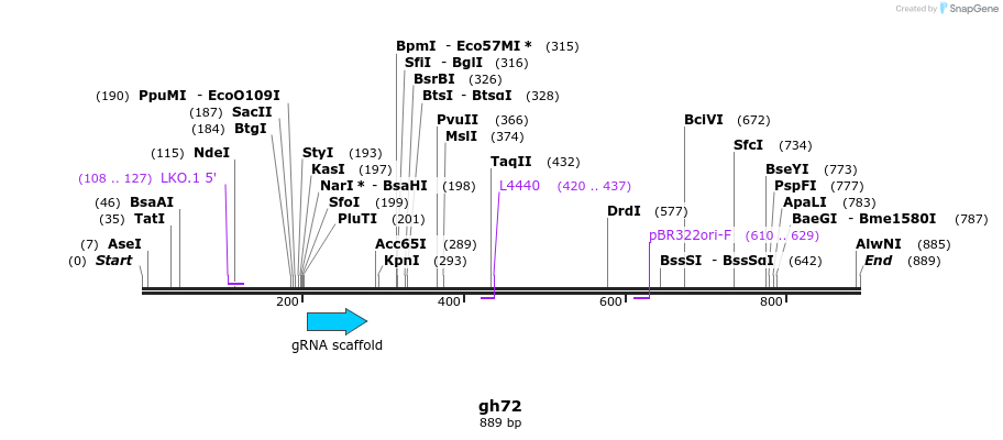 220967_map