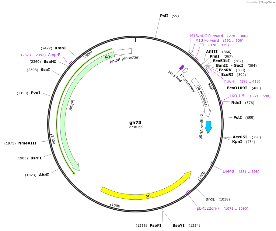 220970_map