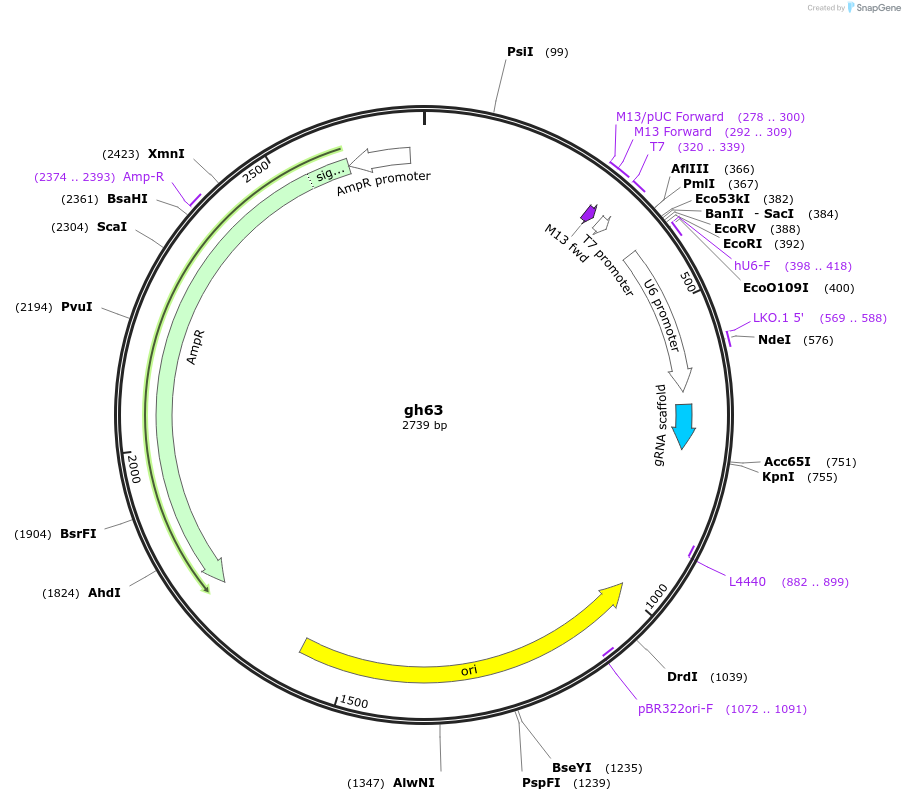 220973_map