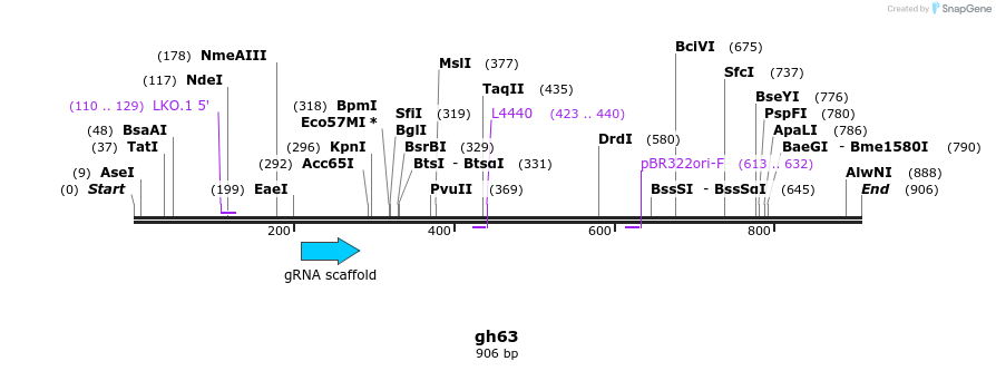 220974_map