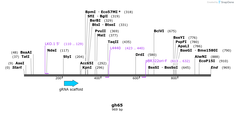 221023_map